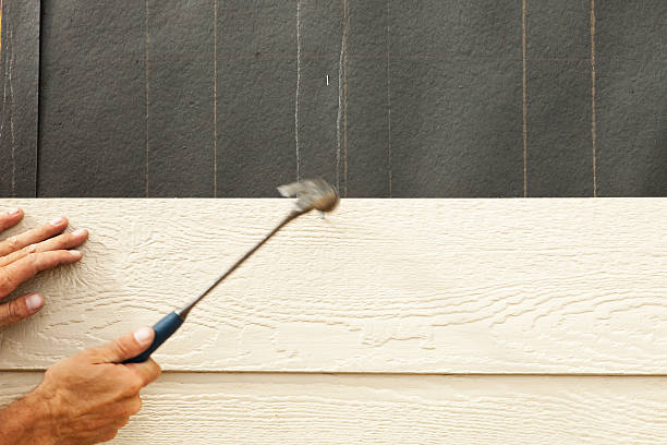 Best Insulated Siding Installation  in Surfside, FL